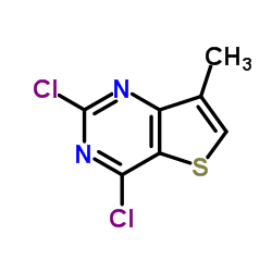 2,4-二氯-7-甲基噻吩并[3,2-d]嘧啶结构式