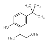 2-仲基-4-叔丁基苯酚结构式