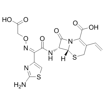 Cefixime picture