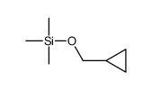 cyclopropylmethoxy(trimethyl)silane Structure