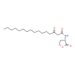 N-3-oxo-hexadecanoyl-L-Homoserine lactone structure