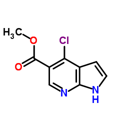 Methyl 4-chloro-1H-pyrrolo[2,3-b]pyridine-5-carboxylate picture