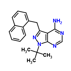 1-NM-PP1结构式