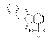 2-benzyl-1,3-dioxoisoindole-4-sulfonic acid Structure