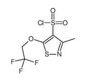 3-methyl-5-(2,2,2-trifluoroethoxy)-1,2-thiazole-4-sulfonyl chloride结构式