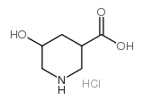 5-HYDROXYPIPERIDINE-3-CARBOXYLIC ACID HYDROCHLORIDE Structure