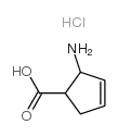 cis-2- Amino-3-cyclopentene-1-carboxylic acid hydrochloride Structure