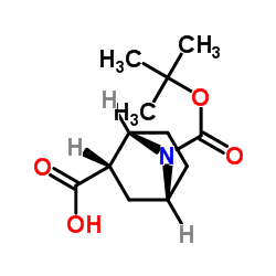 7-(叔丁氧羰基)-7-氮杂双环[2.2.1]庚烷-2-甲酸结构式