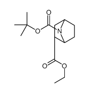 (1S,2s,4r)-7-叔丁基2-乙基7-氮杂双环[2.2.1]庚烷-2,7-二羧酸结构式
