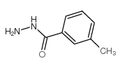3-Methyl-Benzoylhydrazide Structure
