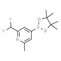 2-(二氟甲基)-6-甲基吡啶-4-硼酸频哪醇酯结构式