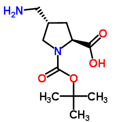 (2S,4s)-4-(氨基甲基)-1-(叔丁氧基羰基)吡咯烷-2-羧酸结构式