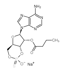 腺苷 3′,5′-环单硫代磷酸酯, 2′-O-单丁酰-, 盐 Rp-同质异能素 钠盐结构式