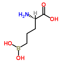 L-Norvaline, 5-borono- (9CI)结构式