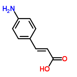 4-胺桂皮酸图片