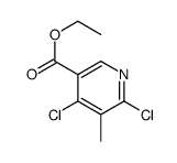 Ethyl 4,6-dichloro-5-Methylnicotinate Structure