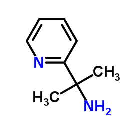 2-(2-吡啶基)-2-丙胺图片