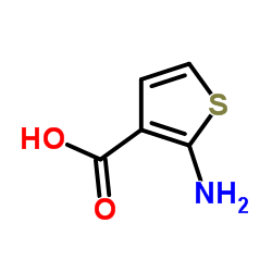 2-氨基噻吩-3-甲酸图片