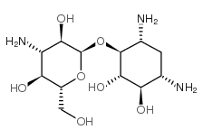 Deoxystreptamine-kanosaminide Structure
