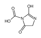 2,5-dioxoimidazolidine-1-carboxylic acid Structure