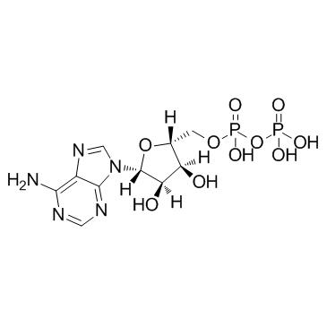 Adenosine diphosphate Structure