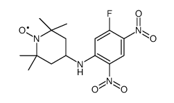 N-(2,5-dinitro-4-fluorophenyl)-4-amino-2,2,6,6-tetramethylpiperidinooxy structure
