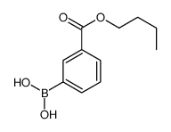 3-丁氧基羰基苯硼酸结构式