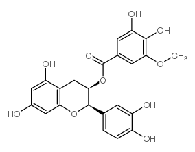 表儿茶素 3-O-(3-O-甲基)没食子酸酯结构式