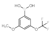 (3-甲氧基-5-(三氟甲氧基)苯基)硼酸结构式