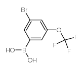 [3-溴-5-(三氟甲氧基)苯基]硼酸结构式