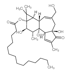 13-豆蔻酸酯佛波醇结构式