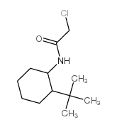 N-(2-tert-butylcyclohexyl)-2-chloroacetamide结构式