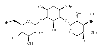 D-Streptamine,O-6-amino-6-deoxy-a-D-glucopyranosyl-(1®4)-O-[3-deoxy-4-C-methyl-3-(methylamino)-b-L-arabinopyranosyl-(1®6)]-2-deoxy- picture