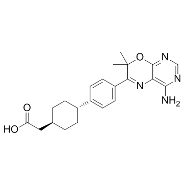 反式-4-[4-(4-氨基-7,7-二甲基-7H-嘧啶并[4,5-B][1,4]噁唑-6-基)苯基]-环己基乙酰胺图片