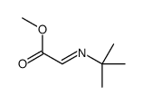methyl 2-tert-butyliminoacetate Structure