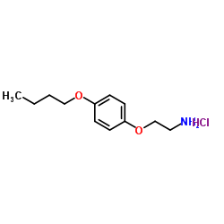 2-(4-Butoxyphenoxy)ethanamine hydrochloride (1:1)结构式