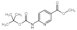 6-[[(叔丁氧羰基)氨基]烟酸甲酯结构式