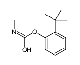 (2-tert-butylphenyl) N-methylcarbamate结构式
