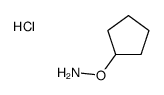 O-cyclopentylhydroxylamine,hydrochloride结构式