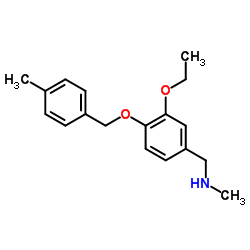 1-{3-Ethoxy-4-[(4-methylbenzyl)oxy]phenyl}-N-methylmethanamine结构式