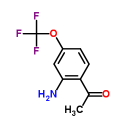 1-[2-氨基-4-(三氟甲氧基)苯基]-乙酮图片