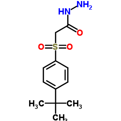 2-[(4-tert-Butylphenyl)sulfonyl]acetohydrazide Structure