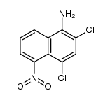 2,4-dichloro-5-nitro-[1]naphthylamine Structure