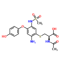 Amino HydroxyniMesulide NAC Adduct Sodium Salt structure