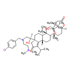 (3beta)-3-(3-羧基-3-甲基-1-氧代丁氧基)-17-[(1R)-2-[[(3-氯苯基)甲基][2-(二甲基氨基)乙基]氨基]-1-羟基乙基]-28-去甲-18-羽扇烯-21-酮结构式