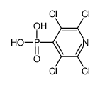 (2,3,5,6-tetrachloropyridin-4-yl)phosphonic acid结构式