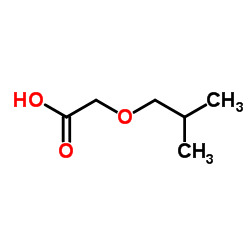 Isobutoxyacetic Acid Structure