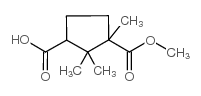 三甲基一环戊烷-1,3-二甲酸-1-甲酯结构式