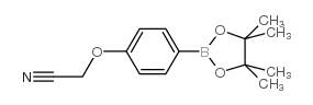 4-氰基甲氧基苯硼酸频那醇酯结构式