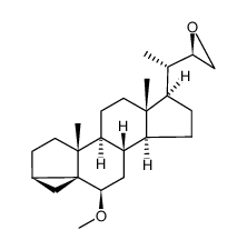 (22S)-22,23-epoxy-6β-methoxy-3α,5-cyclo-5α-24-norcholane结构式